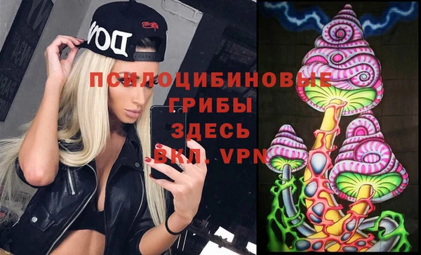 гашик Заволжск