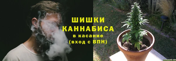 хмурый Заводоуковск