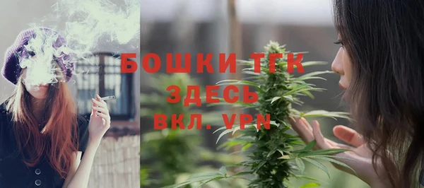 хмурый Заводоуковск