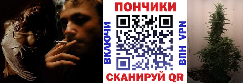 Купить где  Инсар  Конопля тримм 